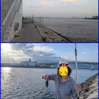 6月中旬のアラカルト 🍴🐩🎣🍵