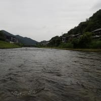 3度目の巴川！