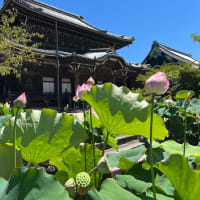 7月に入りました😍