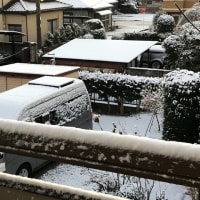 一面の雪景色