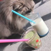 春
