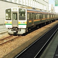 電男
