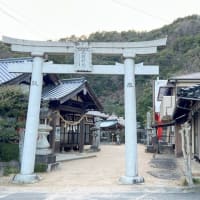 桜ざんまい