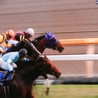 天皇賞　秋にまた一頭