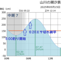 鯵釣り