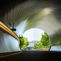 ミホミュージアム　新緑のトンネル
