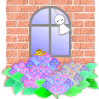 アジサイの切り花 の水揚げ 亀 便 り
