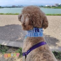 暑さ対策