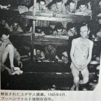 「アウシュビッツの小さな厩番」