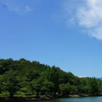 皐月の山上湖風情 その　6