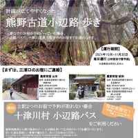 東大寺秘仏開扉 僧形八幡神坐像と五劫思惟阿弥陀如来 - 窯元日記復活 東大寺秘仏開扉 僧形八幡神坐像と五劫思惟阿弥陀如来 - 窯元日記復活