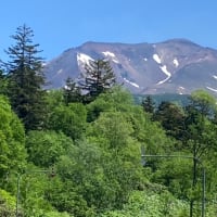 旭岳自然探勝路　2025/7/19