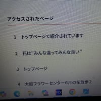 残り物には福があるって本当！