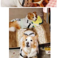 なんやかんや〜