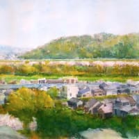大山崎より背割堤の桜４月