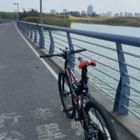 陽澄湖へサイクリング