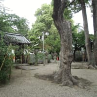 月半ばの野見神社へのお参りです。福祉委員会の定期総会の後も順調に活動が続いています。