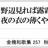 金槐和歌集257　野辺見れば