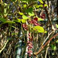 寒気生濁・冷えるとゴミが溜まる