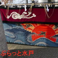 水戸の千鳥(2)