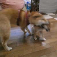 サービス向上のため　録音させていただきます事をご了承ください☆