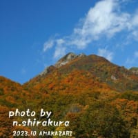 秋訪れて