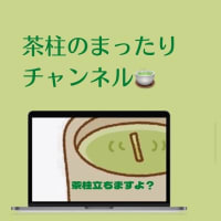 本日の茶柱
