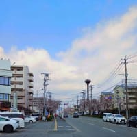:健軍自衛隊通りのさくら