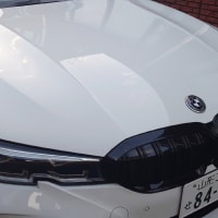 明日は走るので留守になります♪
