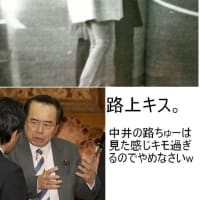 秋篠宮ご夫妻への非礼発言をした民主党の売国中井