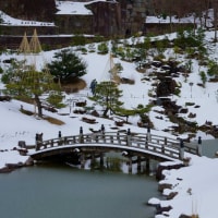 ●雪景色の玉泉院丸庭園と鼠多門　段落ちの滝　色紙短冊積石垣