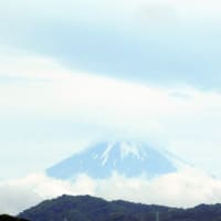 2024年5月31日の富士山