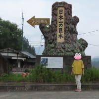 メグロで2025年7月5日　午前４時18分に向けて！　その2