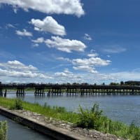 京の一人旅2日目