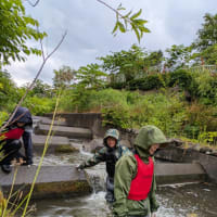otosoto〜おとなのそとあそび「おとなの川あそび」