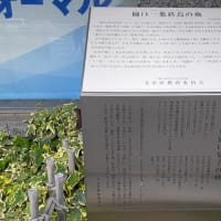 樋口一葉終焉の地