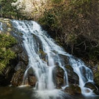 川売の梅の里