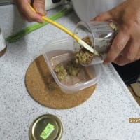 本番のマスタード作り