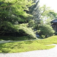 【京都幕間旅情】西来院,経文と歴史は庭園美超える哲学との融合求められる寺院の庭園