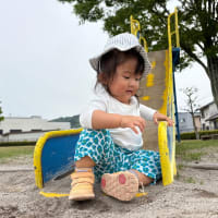 メチャ嬉しそうw🐣孫の保育園生活➰🐣