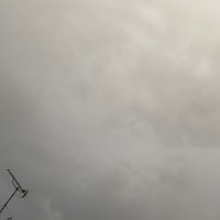 2025年07月10日