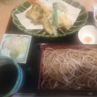 今日のランチは