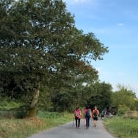 2025 Camino Primitivo 16日目