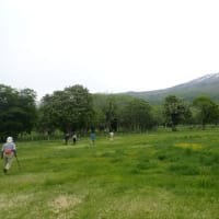 いつものキャンプ、そして悲しい事も