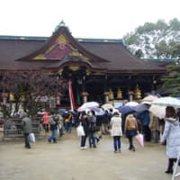 梅花祭（ばいかさい）　北野天満宮　2013年2月25日（月）