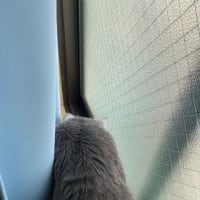 にゃ〜5