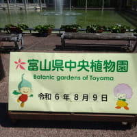 その２富山県中央植物園8/10重複しています