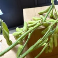 工作した作品と、野菜いっぱい〜！のブログ。