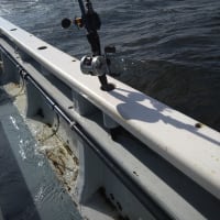 釣り日記 10月1日 タチウオ、アジ リレー船 忠彦丸 二刀流成功？
