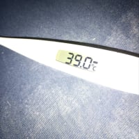鼻水・咳・倦怠感・悪寒・そして発熱